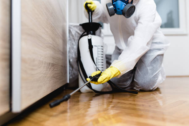 Best Affordable Pest Control Services  in Poplar Plains, CT