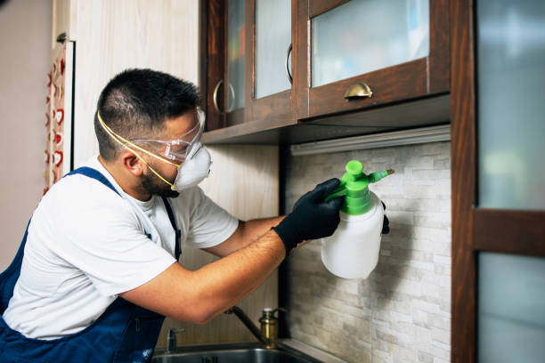 Best Best Pest Control Companies  in Poplar Plains, CT