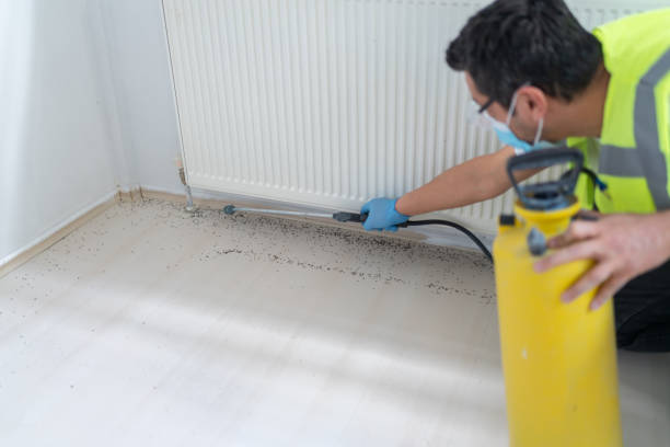 Best Mosquito Control Services  in Poplar Plains, CT