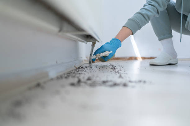 Best Pest Removal Services  in Poplar Plains, CT
