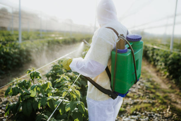 Best Pest Control Near Me in Poplar Plains, CT